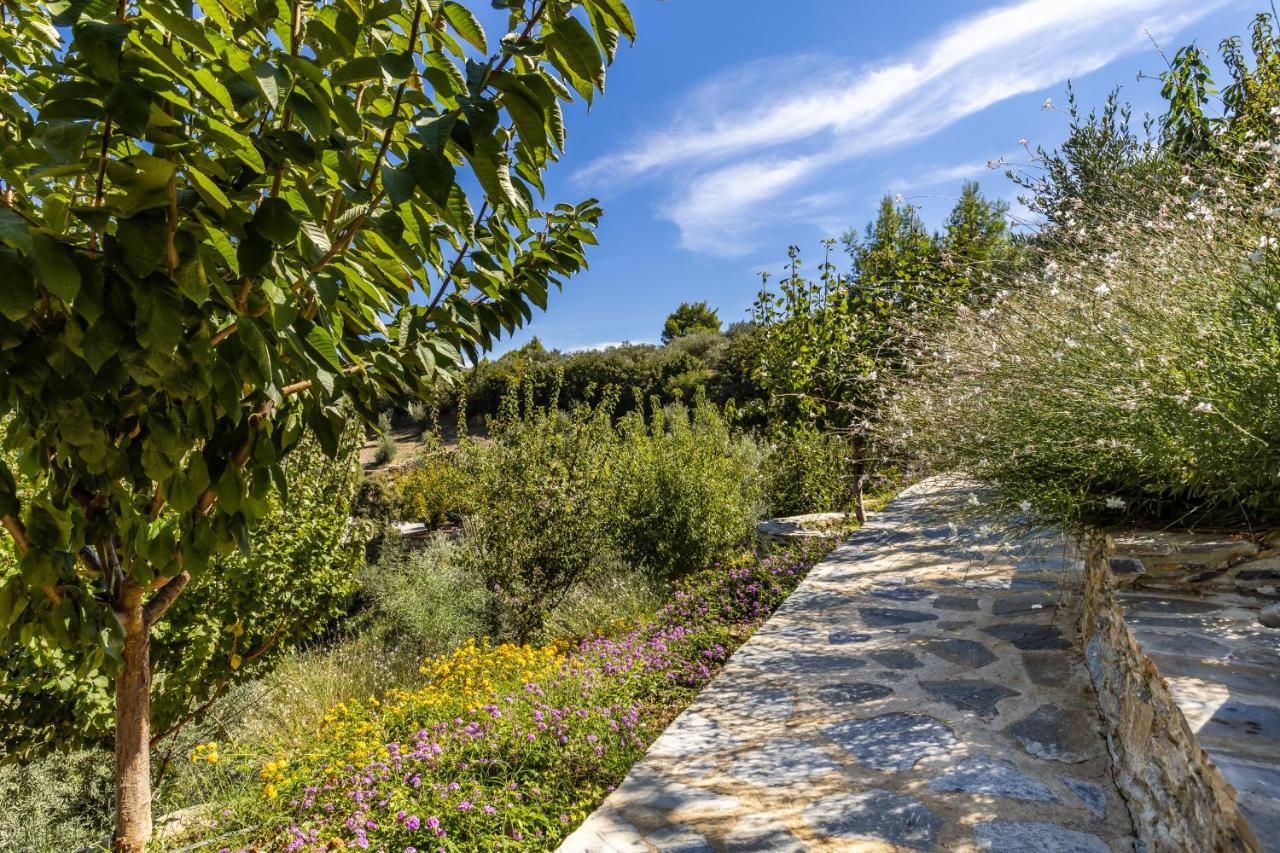 Villa Politimi Luxury Retreat Skopelos stad Exteriör bild